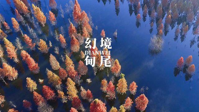 青岛市人民政府市长赵豪志:让尊重企业家、弘扬企业家精神成为青岛的城市共识