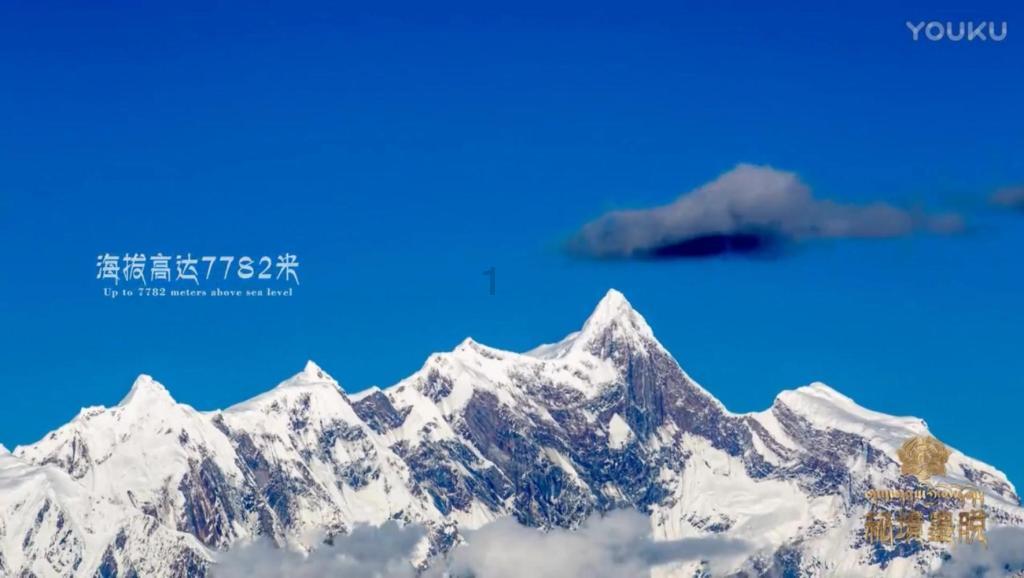 饿狮救援