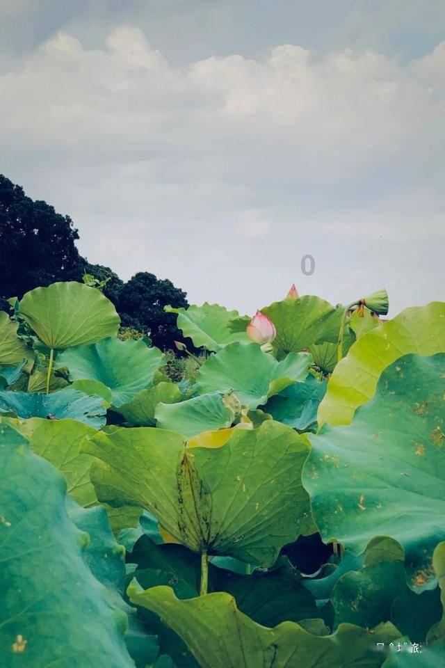 沙滩度假